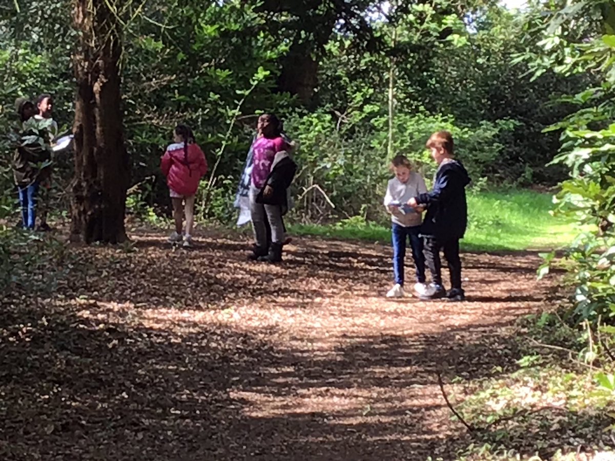InspirationsStm's tweet photo. Great fun working as a team and problem solving. #STMoutdoorlearning #Chetcentre https://t.co/I02XX3SgP3