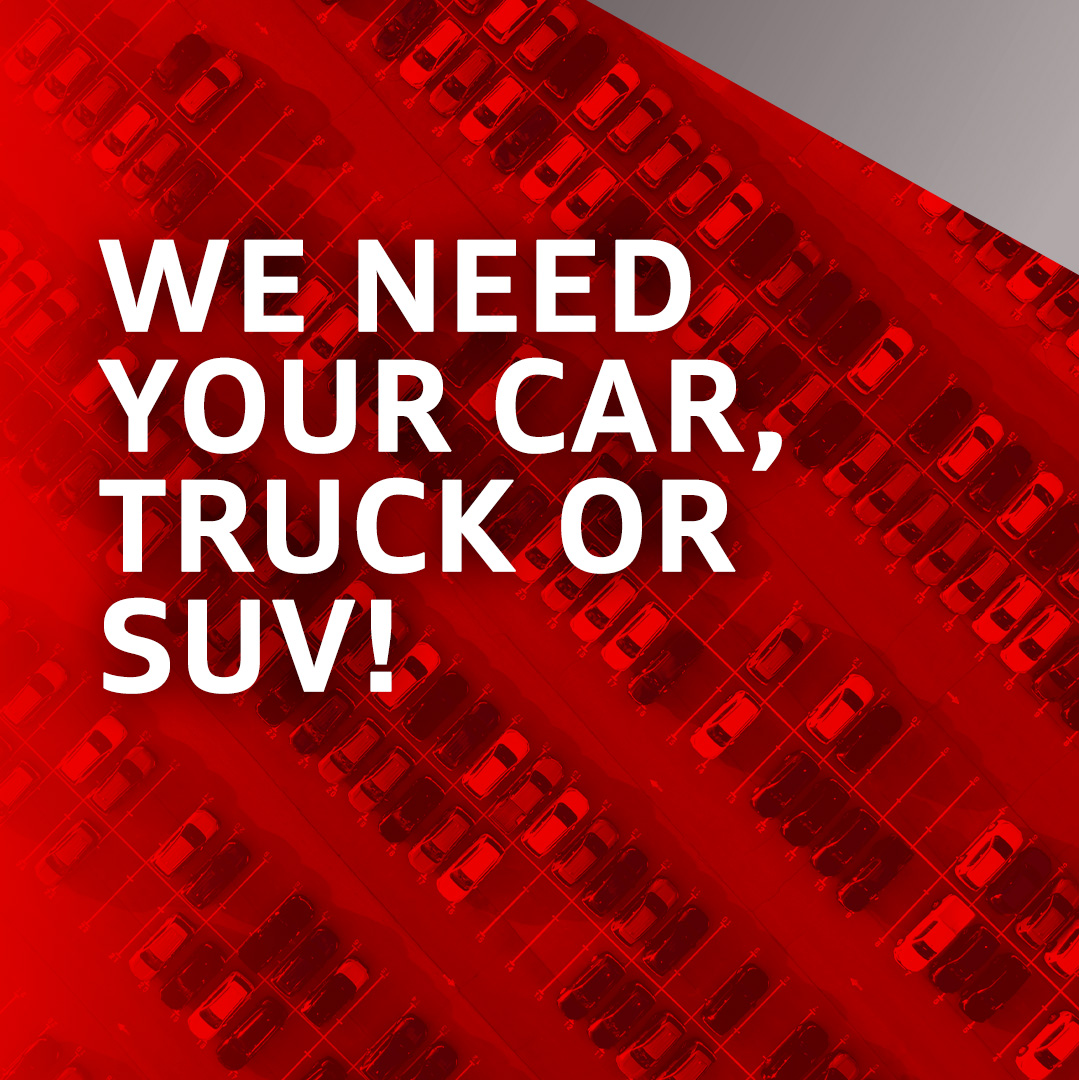 AudiNatick's tweet photo. 💰We Need Your Car, Truck Or SUV! Let us buy your vehicle today. https://t.co/aUyvcWqVg4 https://t.co/MCaUle9L3z