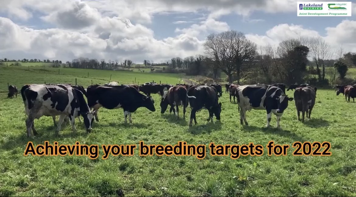 Over the coming weeks we will be following Lakeland suppliers Sean and Ciaran Finnegan as they progress through the breeding season. 

The first video below outlines the main breeding KPI’s: 

Submission Rate ✅
Conception Rate ✅
6 week incalf rate ✅

vimeo.com/702822768/d25e…