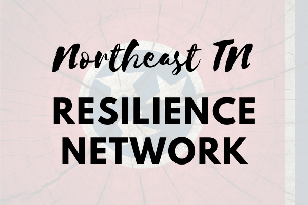 AppyPromise's tweet photo. NETN Trauma-Informed Network Meeting this Thursday, April 28th followed by Fentanyl Awareness Day at VHS - https://t.co/gBrvDzxbt9 https://t.co/YPhSA2IAa8