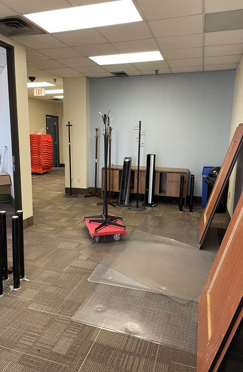 Marli MacNeil tweet media