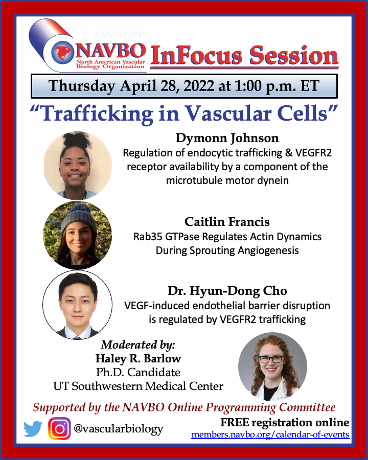 vascularbiology's tweet photo. Join us THIS Thursday, April 28th at 1p.m. ET for our next #InFocus Session: Trafficking in Vascular Cells! Speakers were selected from abstracts submitted to #VB2021 and it's a great way to support our trainee members! Register at: https://t.co/fzks1klo4Y. See you there!! https://t.co/KDGtfVpX6Y