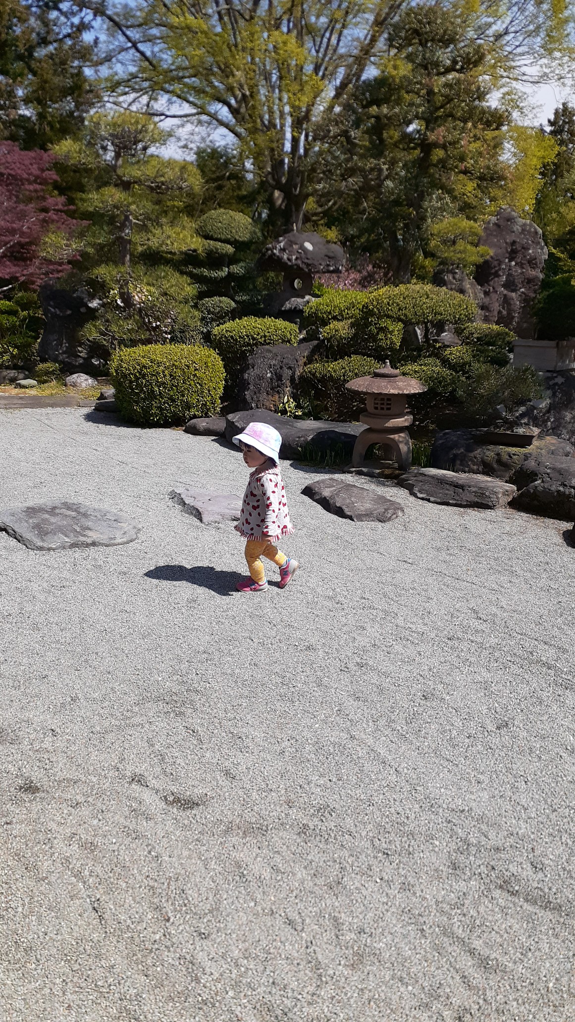 Sado3jem Al Twitter Dragon Ashの 静かな日々の階段を が毎日脳内ループ しばらく怒涛だったのでちょっぴりゆったりさせてもらってます T Co Zwsjool6ky Twitter