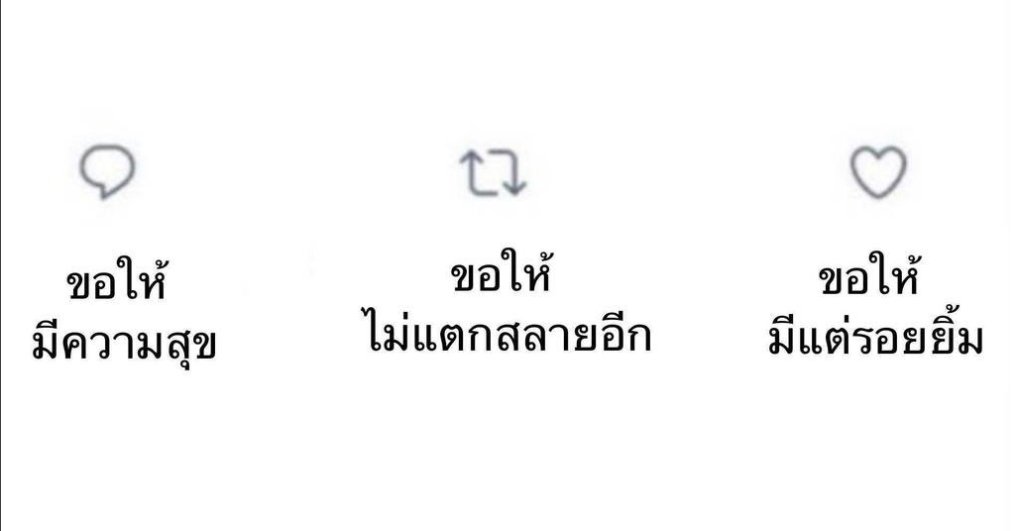 jayyyyyyy111's tweet photo. แมวผมตาย https://t.co/uOuYlavQ4h
