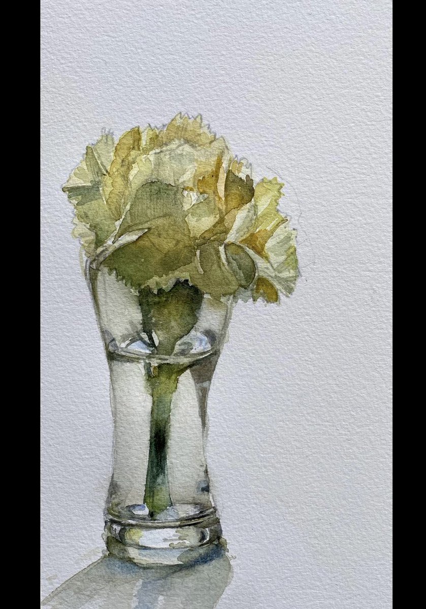 dmboanasartidt's tweet photo. Not to be beaten by a carnation , I tried again at a different angle. Slightly more recognisable 😂 https://t.co/qyCgjb5quJ