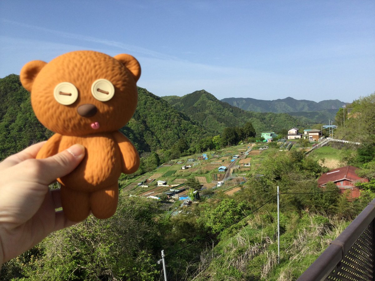 dangaizeppekide's tweet photo. 今日は快晴☀️.°
そんなわけで #相模原市 にある #青根緑の休暇村 に行ってきました🛣🛵
とにかく、のどか、キレイ、街の匂いが、いいかんじで緑と土の匂いが混ざって、宇治抹茶みたく甘い匂い✨
それにクマタンを添えて🐻♥️
#APtrikes125 #aliveprus #トゥクトゥク https://t.co/Yl6Vw9mGKt
