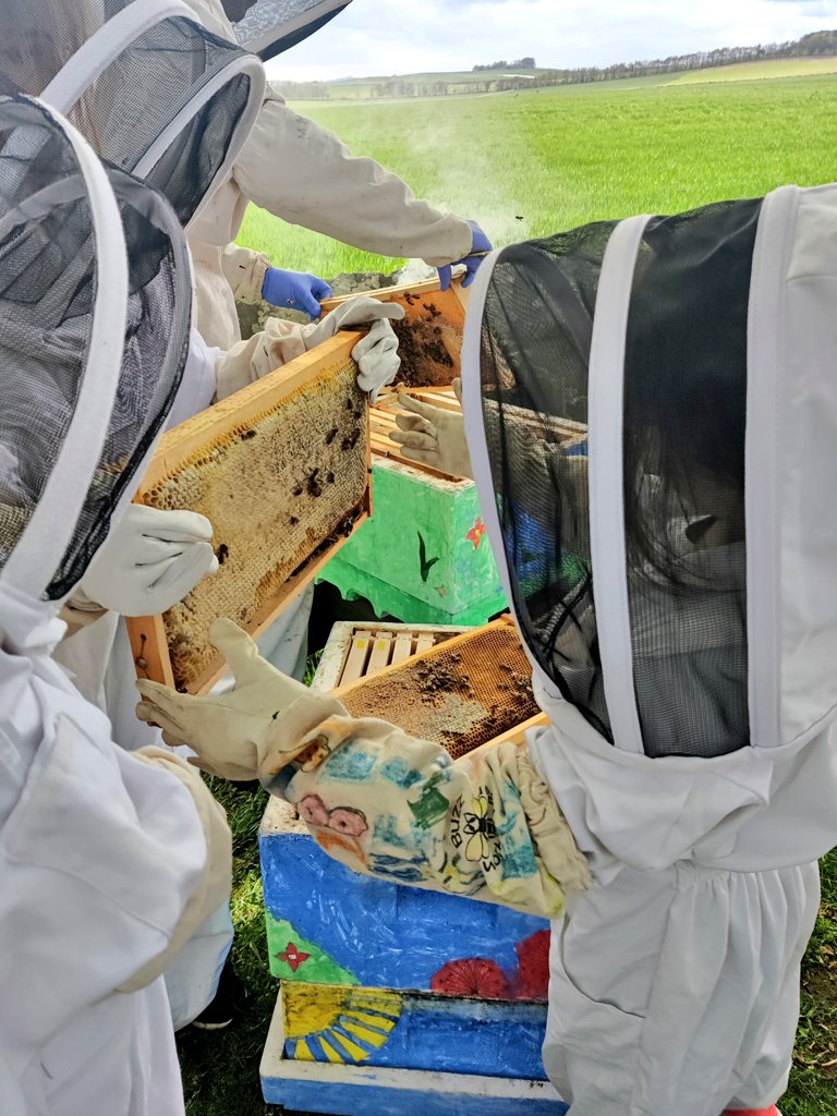 We really enjoyed our first bee lesson. Lots of learning taking place. We were even lucky enough to see one of the bees hatch. 

#dairsiedoesbeekeeping #outdoorlearning #savethebees 
<a href="/WebsterHoney/">Webster Honey</a>