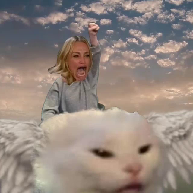 flauschen's tweet photo. @CryptoMatt87 @StiltonMusk You tink dey sleebin? https://t.co/0bnf0d2JGv