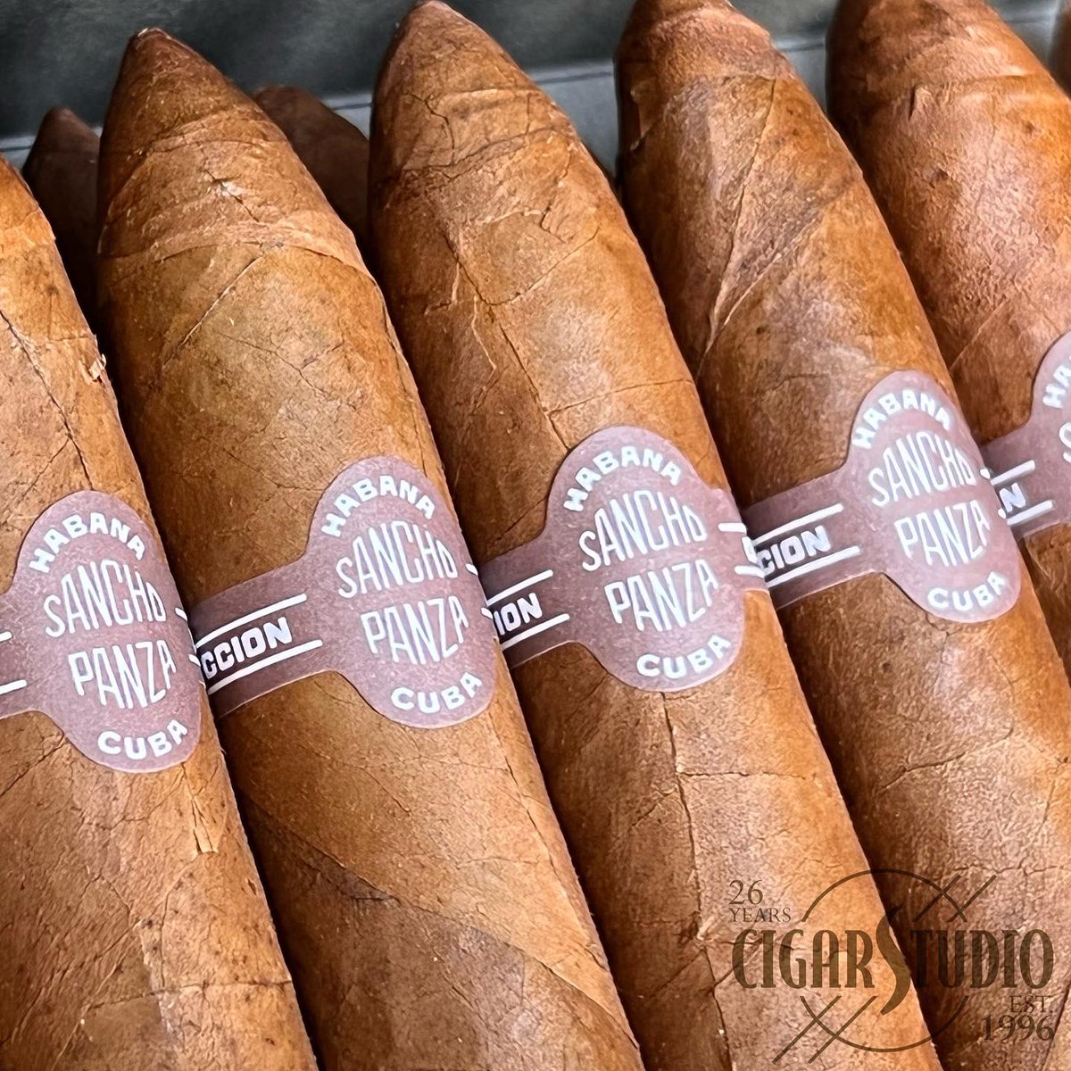 CIGAR_STUDIO_'s tweet photo. Alex’s Monday Cigar Pick Is The Sancho Panza Belicoso.

https://t.co/B4TWb51U34 https://t.co/nLpgMUsDCX