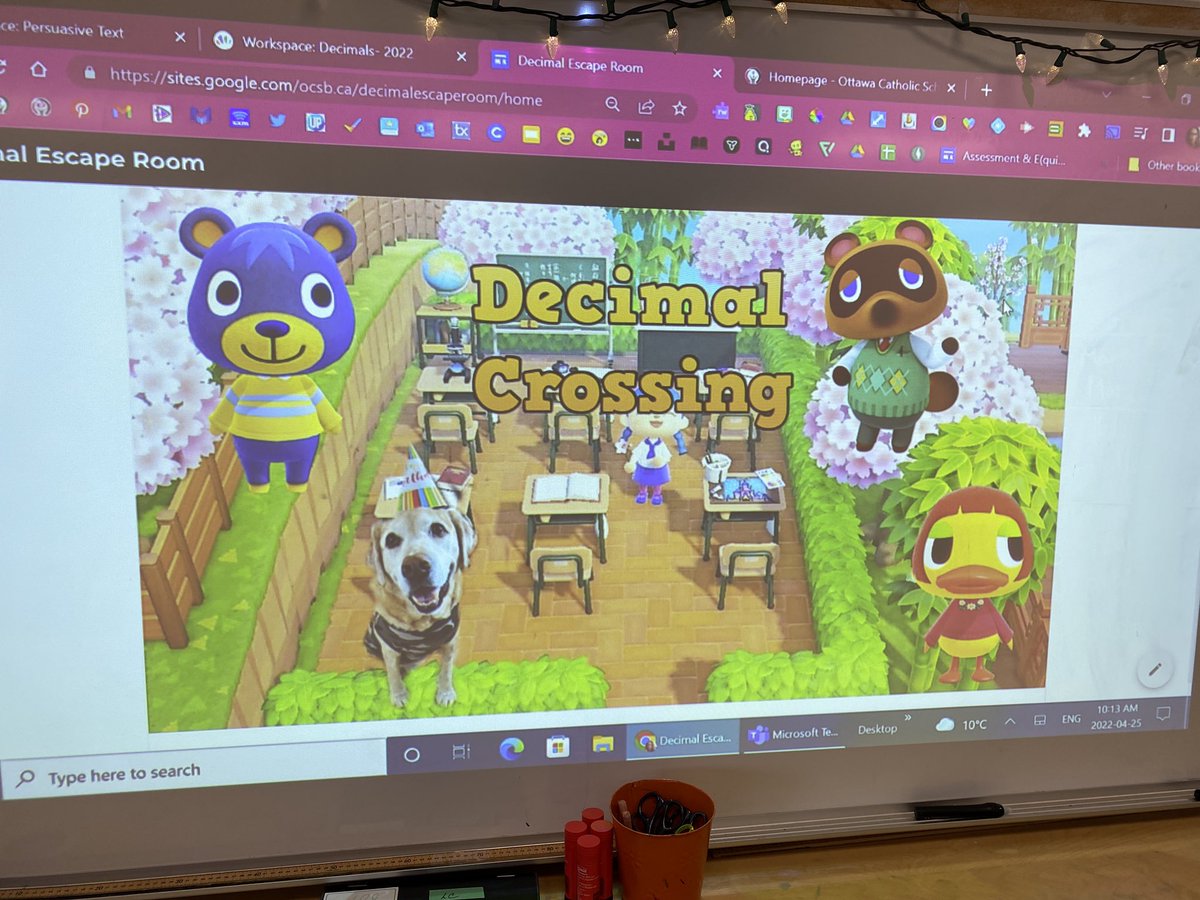 Tracey Nesrallah tweet media