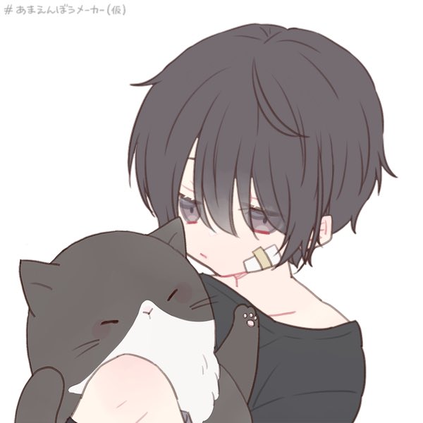 オッドアイのtwitterイラスト検索結果