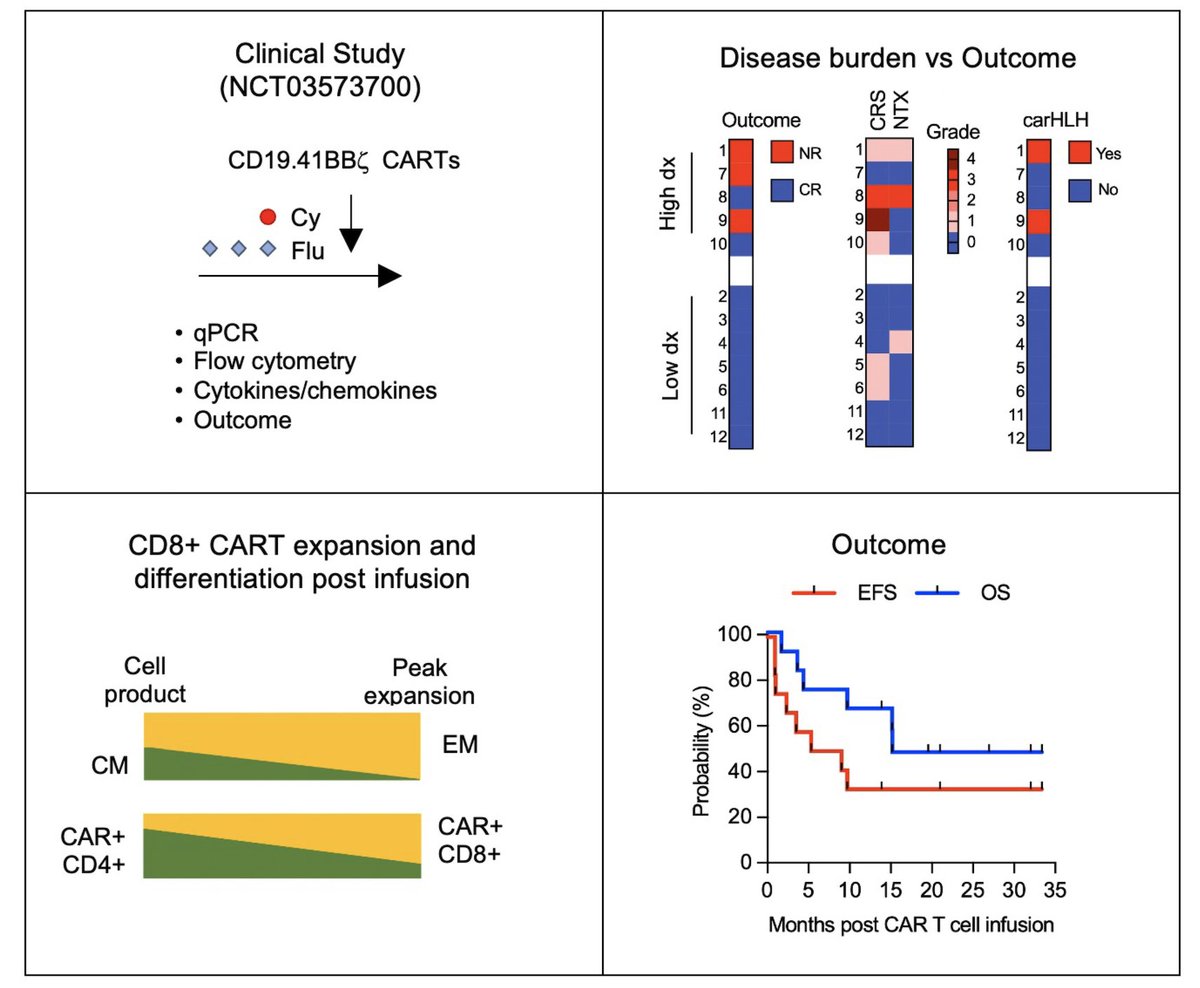 Preferential expansion of CD8+ CD19-CAR T cells postinfusion and the role of disease burden on outcome in pediatric B-ALL ashpublications.org/bloodadvances/…