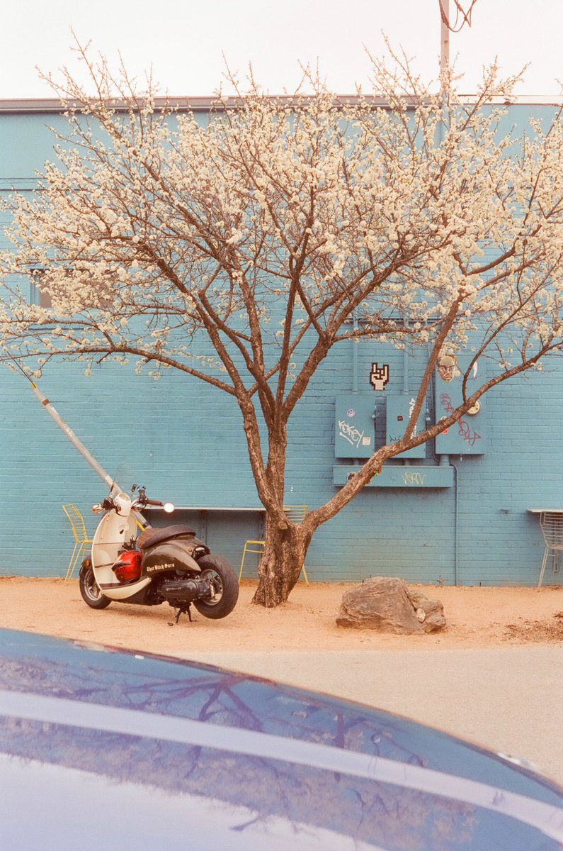 A 🤘🏼 gm for y’all to start the week!