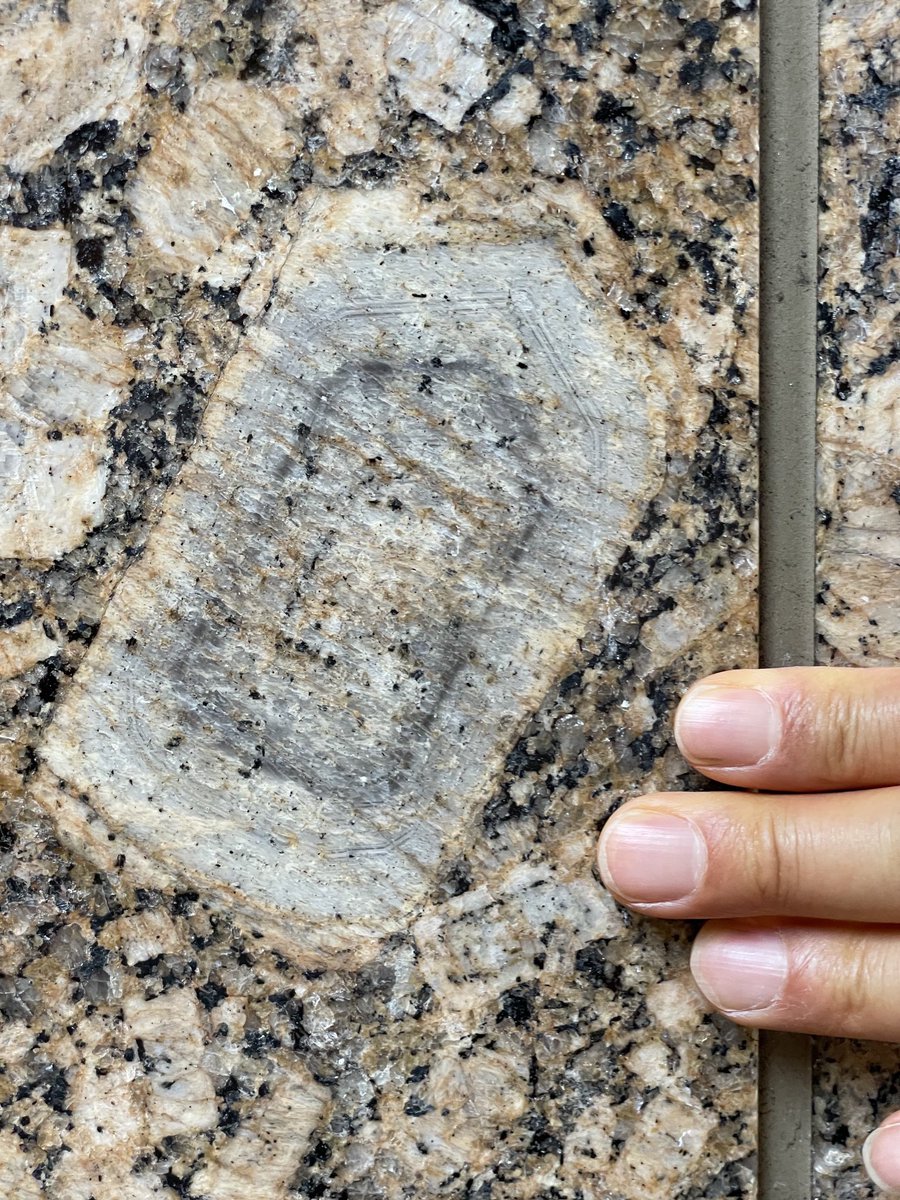 aichi_granite's tweet image. 東急世田谷線三軒茶屋駅北側階段壁の石材は「ジャロベネチアーノ・フィオリート」。ブラジル産の斑状花崗岩。#街の中で見つかるすごい石 #街角地質学