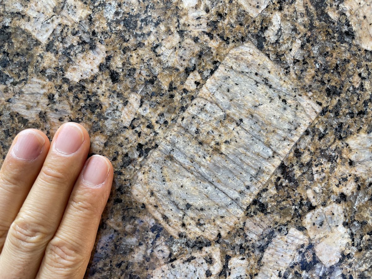 aichi_granite's tweet image. 東急世田谷線三軒茶屋駅北側階段壁の石材は「ジャロベネチアーノ・フィオリート」。ブラジル産の斑状花崗岩。#街の中で見つかるすごい石 #街角地質学