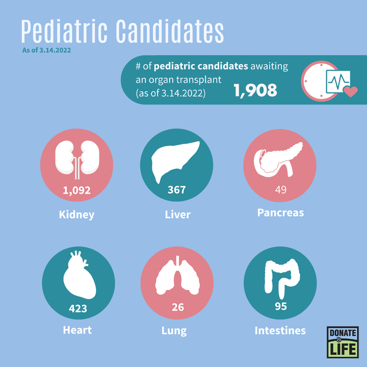 DonateLife's tweet photo. Thank you @SRTRNews for partnering with us during #KidsTransplantWeek to share the 2021 pediatric transplantation numbers! Thank you to the registered donors, living &amp; deceased donors, and donor families who give hope &amp; make life possible. 💙💚 #DonateLife #DonateLifeMonth https://t.co/gabvJwmLPL