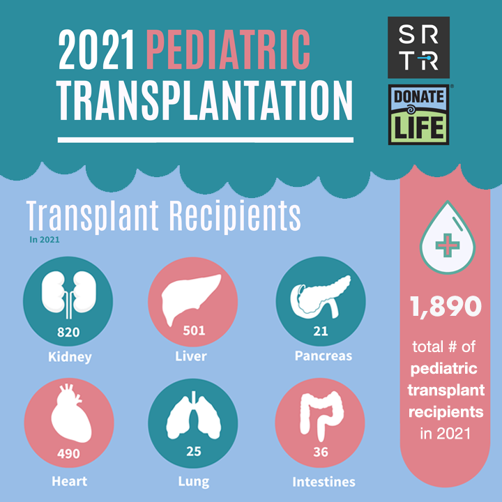 DonateLife's tweet photo. Thank you @SRTRNews for partnering with us during #KidsTransplantWeek to share the 2021 pediatric transplantation numbers! Thank you to the registered donors, living &amp; deceased donors, and donor families who give hope &amp; make life possible. 💙💚 #DonateLife #DonateLifeMonth https://t.co/gabvJwmLPL
