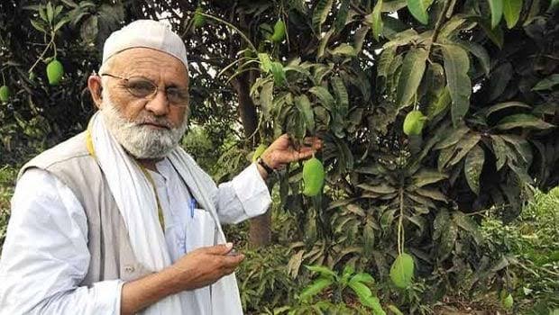 syedurahman's tweet photo. Haji Kalimullah of Malihabad is known as the mango man of India. He has grown a number of varieties of mangoes. One of his most popular experiments is of growing 300 varieties of mangoes on a single tree. https://t.co/o3IrClw0iN