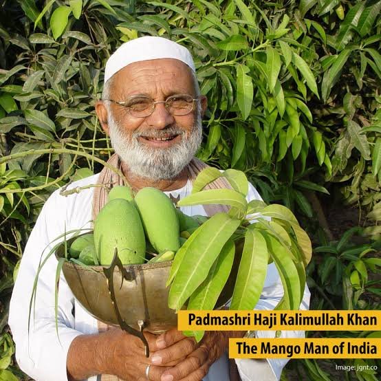 syedurahman's tweet photo. Haji Kalimullah of Malihabad is known as the mango man of India. He has grown a number of varieties of mangoes. One of his most popular experiments is of growing 300 varieties of mangoes on a single tree. https://t.co/o3IrClw0iN