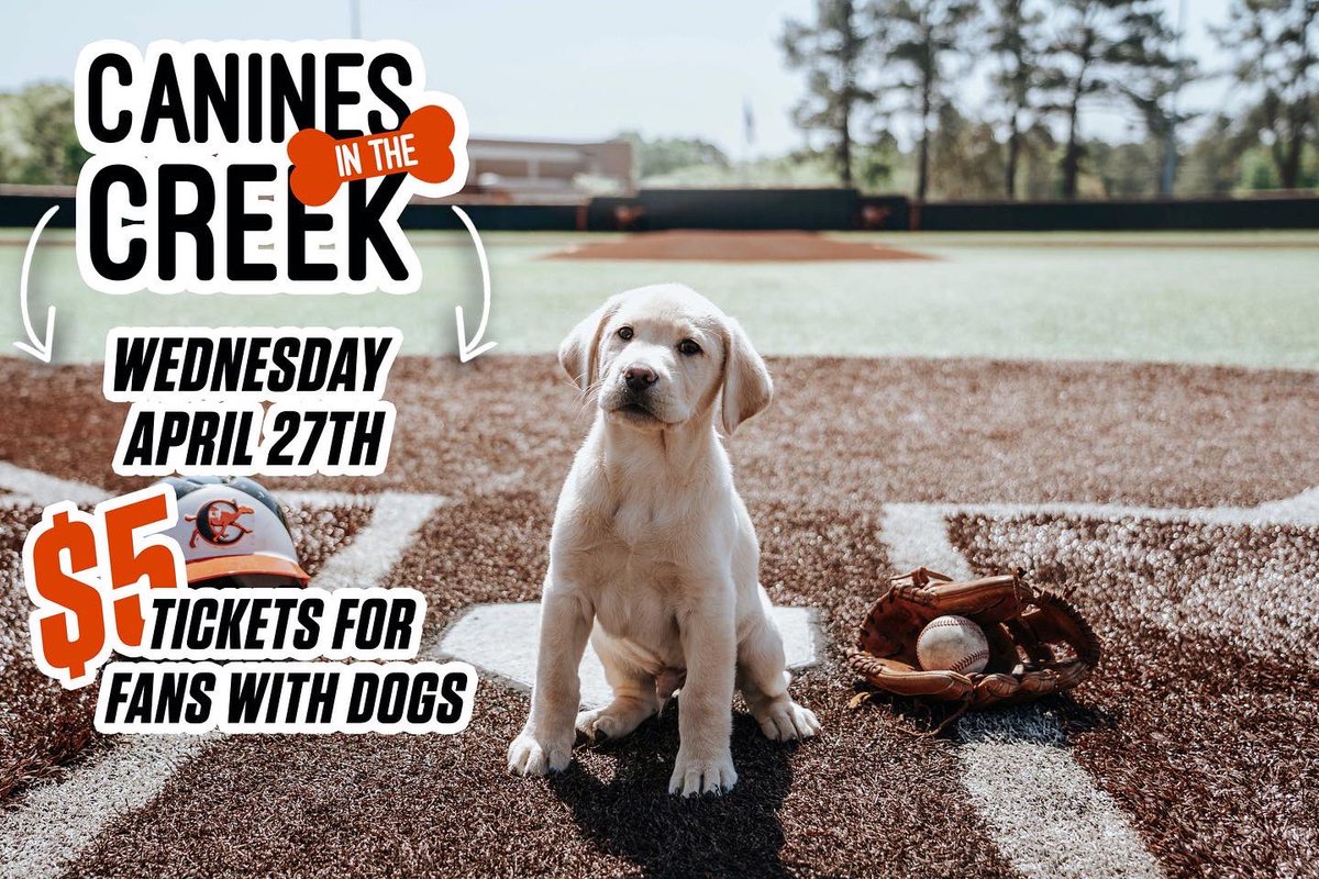 GoCamels's tweet photo. Canines in The Creek 🐾

See you on Wednesday for #CaninesInTheCreek 
Get a discounted 🎟 using promo code “Canines”

🐶 https://t.co/u89CfomMgc https://t.co/emGrFOQ62U