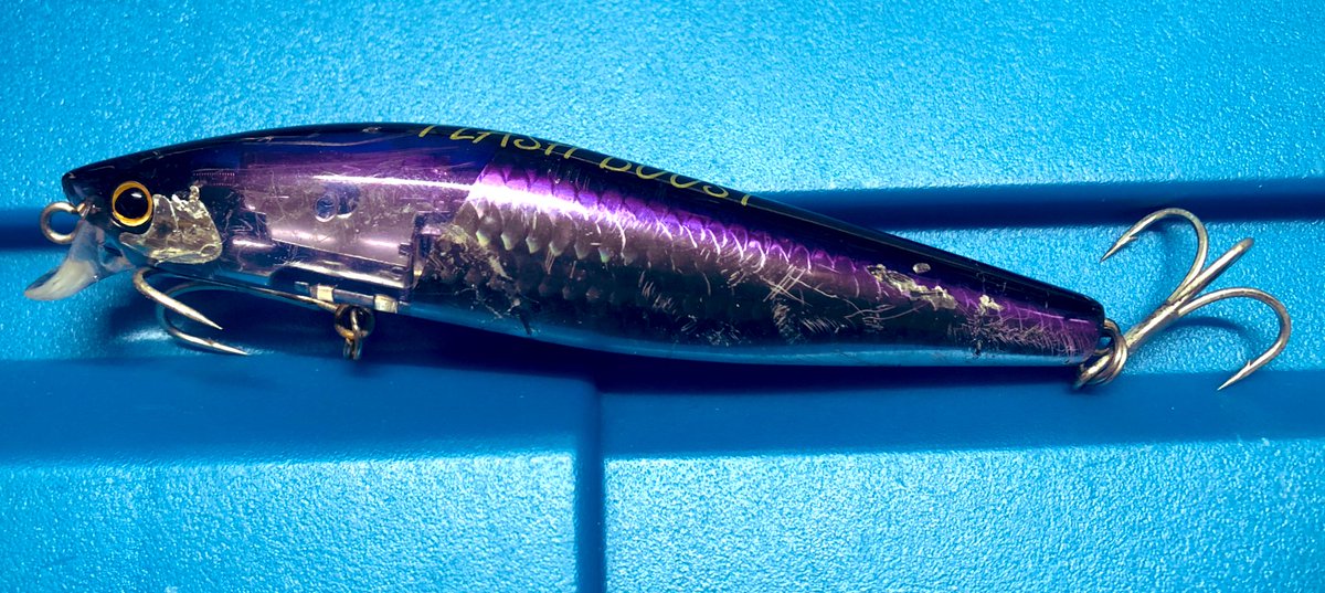 SDG_matsuuma17's tweet photo. 逃した魚は大きいと言いますが
この子を砕かれた方が悔しい。
#砕かれたミノー
#ShallowAssassin
#006パプルイワシ https://t.co/tYeyy5pGCm