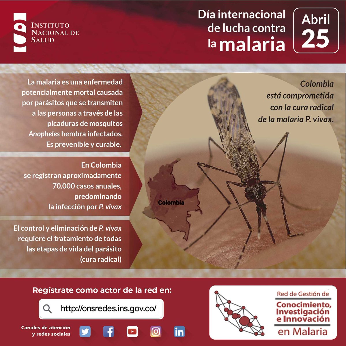 #DiaMundialDelPaludismo #WorldMalariaDay Esta enfermedad se contagia principalmente por la picadura del #MosquitoAnopheles hembra infectados.