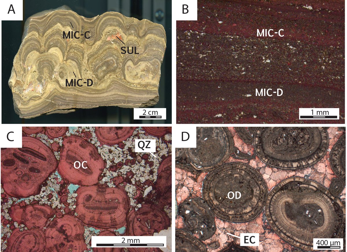 New paper available - 'Depositional age models in lacustrine systems from zircon and carbonate U-Pb geochronology'

Find at: onlinelibrary.wiley.com/doi/abs/10.111…