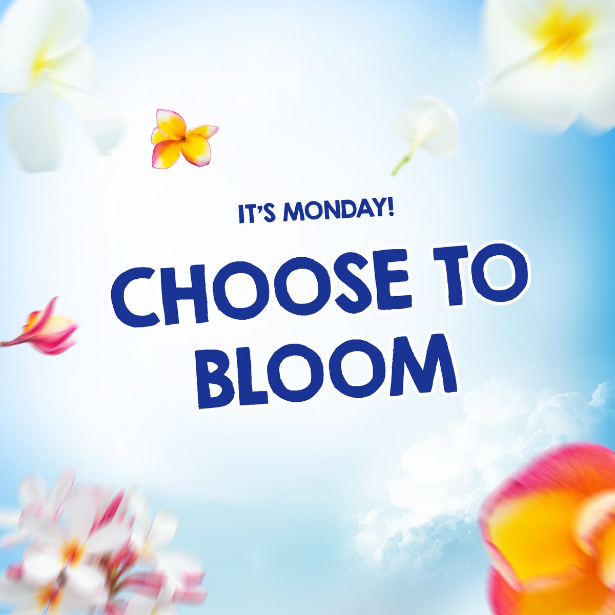 lifespansw's tweet photo. Bloom, baby, bloom. 🌹#MondayMotivation 
#LongerMoreLife  #LifespanSpringWater#love #drinkLIFESPAN #health #healthyskin #fitness #healthylifestyle #wellness #jamaica #hydrate #naturallyalkaline #thebest https://t.co/uTw1WxApMp