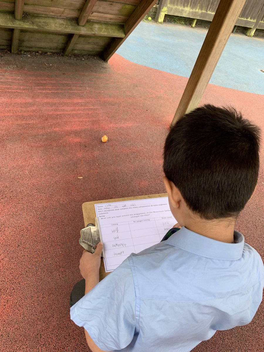 ASPNW2's tweet photo. Year Two have been out in the grounds today. They have been looking for things that are alive, have never been alive and are no longer living. They had great fun enjoying their learning. #science #enjoyinglearning #investigating https://t.co/faK31pwalG
