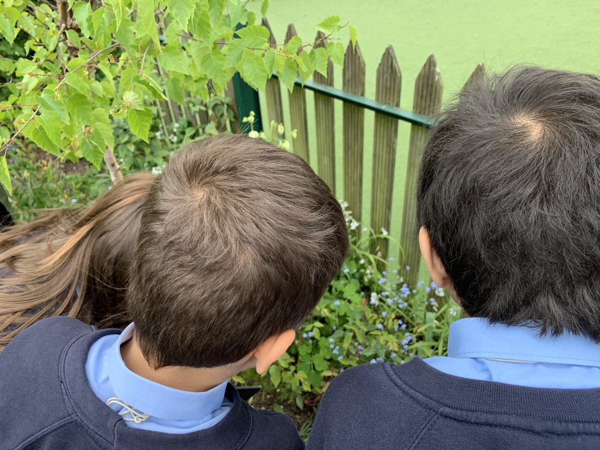 ASPNW2's tweet photo. Year Two have been out in the grounds today. They have been looking for things that are alive, have never been alive and are no longer living. They had great fun enjoying their learning. #science #enjoyinglearning #investigating https://t.co/faK31pwalG