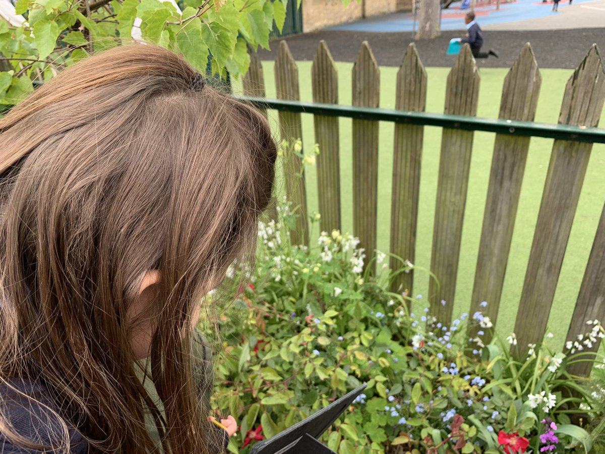 ASPNW2's tweet photo. Year Two have been out in the grounds today. They have been looking for things that are alive, have never been alive and are no longer living. They had great fun enjoying their learning. #science #enjoyinglearning #investigating https://t.co/faK31pwalG