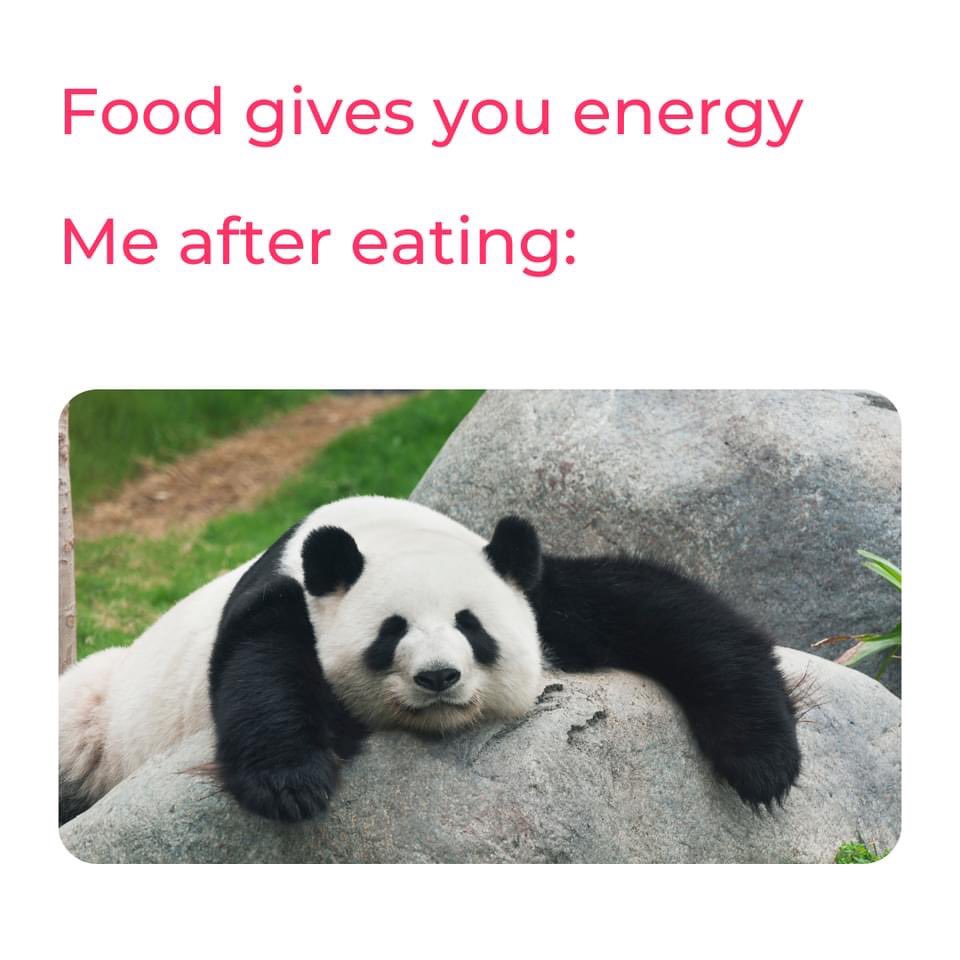 Me after using my @HungryPanda15 discount code from MyGeo app 🤤😴 #meme #takeaway
