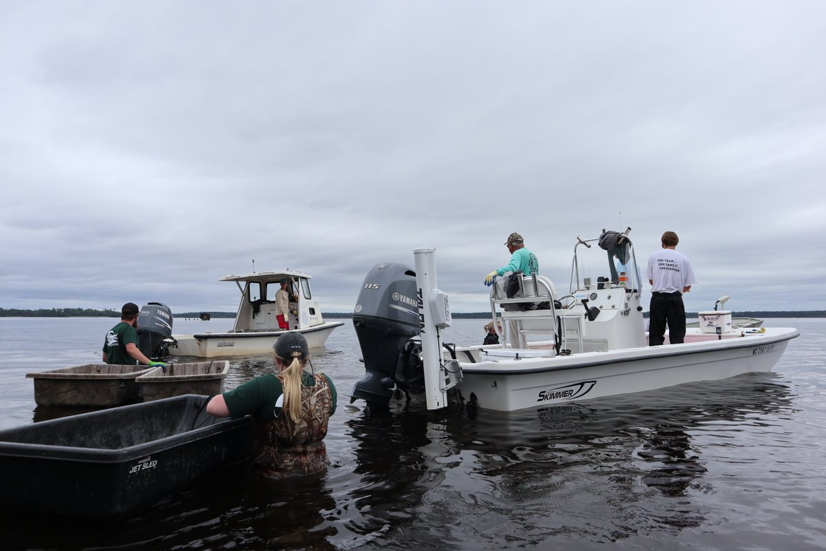 🗣 Calling all anglers and conservationists!! We want YOU to #JoinCCA NC! Help us in the fight to protect the health and viability of our coastal marine resources. Click here to learn more about who we are: fal.cn/3o3Hu #CCANC