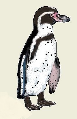 皇帝のtwitterイラスト検索結果