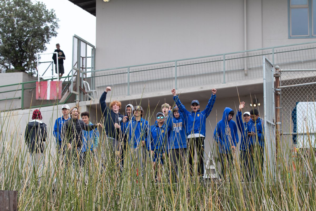 Serra Crew tweet media