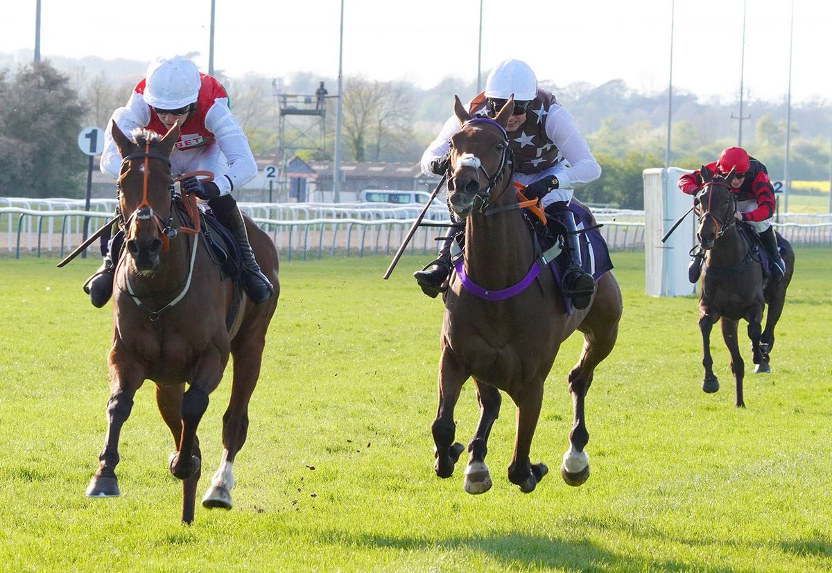 Stowaway Jess <a href="/Southwell_Races/">Southwell Racecourse</a> last week