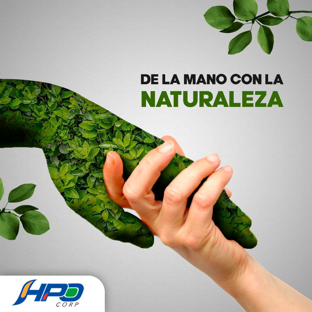 HPO Corp tweet media