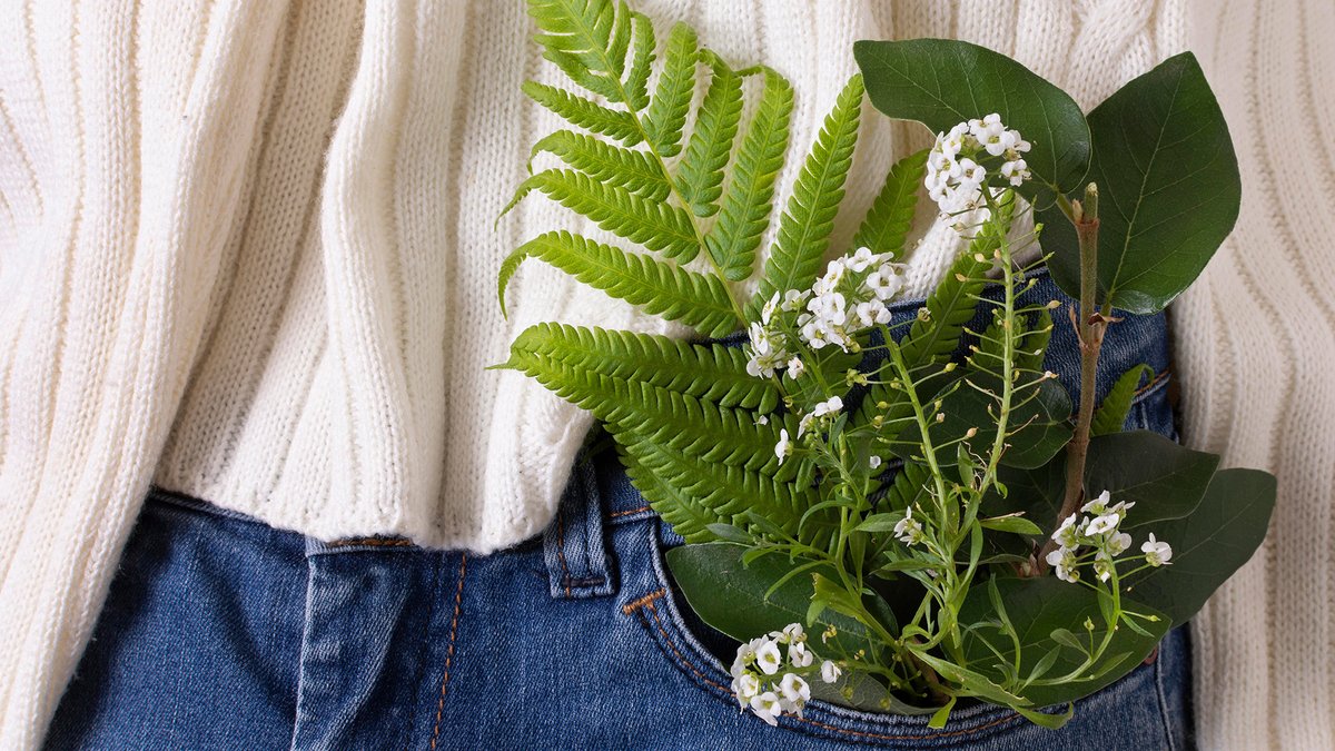 Sind #Digitalisierung und #Klimaneutralität ein Widerspruch? Nein! Im Gegenteil: Wer Nachhaltigkeit anstrebt, muss die Basics der Digitalisierung gemeistert haben.

hubs.li/Q018NkK30