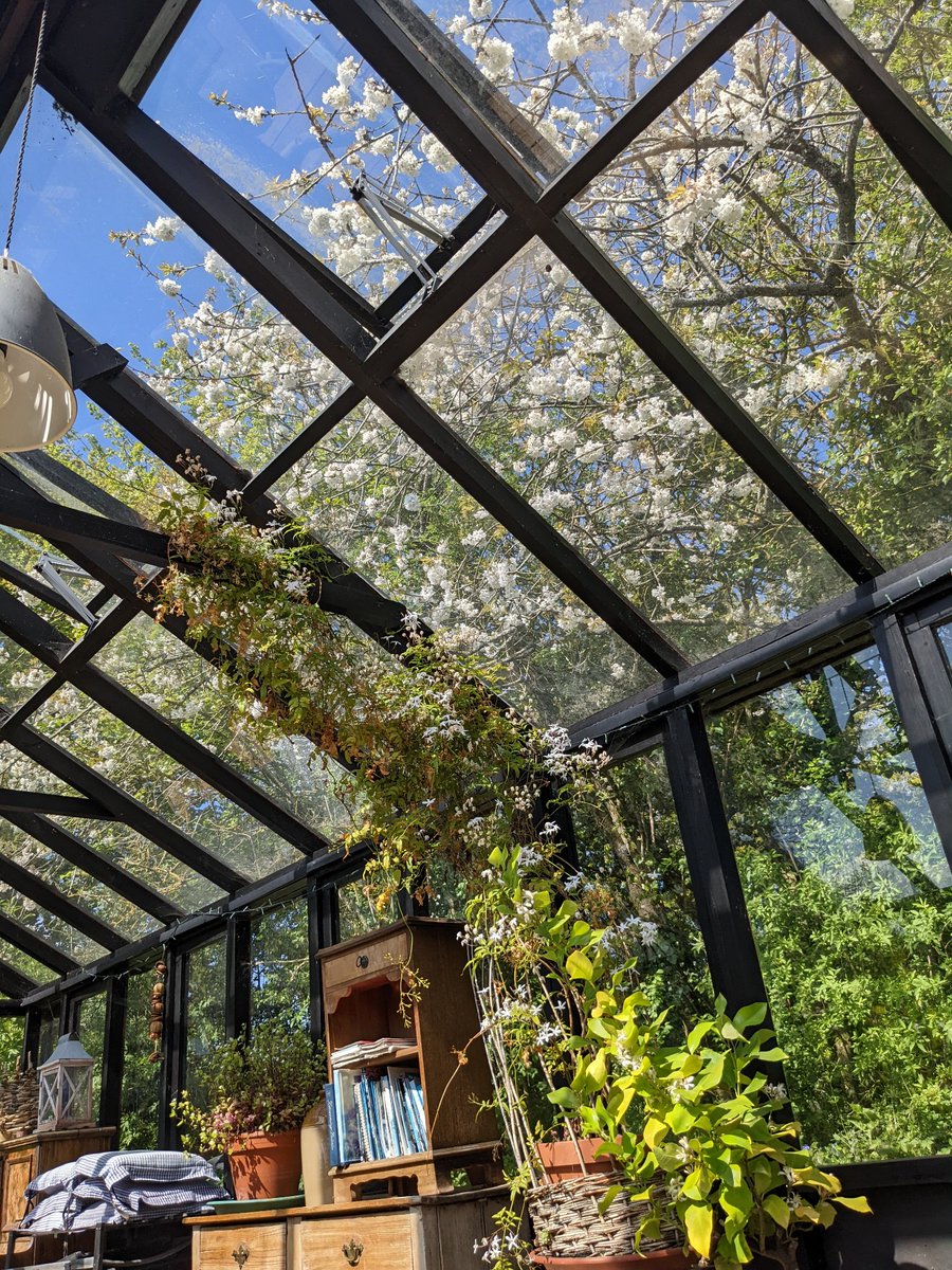 tritchayne's tweet photo. We're now offering 10% off for w/c Saturday 7th May so why not book yourself a bargain and come and see the beautiful cherry blossom at Tritchayne Farm Cottages!
Hay Loft now £301.50, Calf Pen now £373.50, Old Dairy now £373.50, Old Barn now £418.50
#lastminutedeal #spreakbreak https://t.co/Ph1TmwX5cx