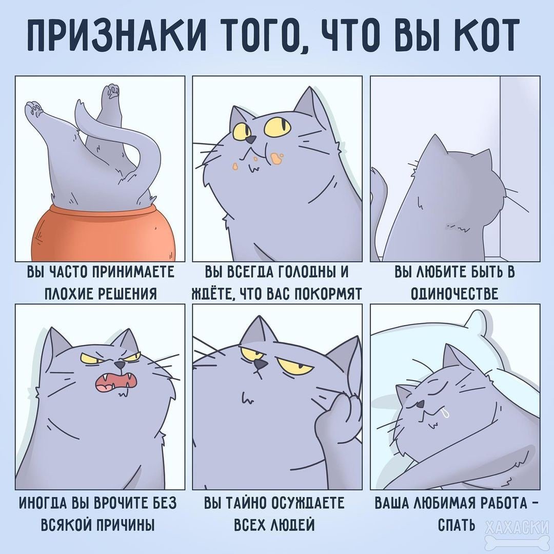 laimiga2's tweet photo. допустим https://t.co/Ih5lWVajDN