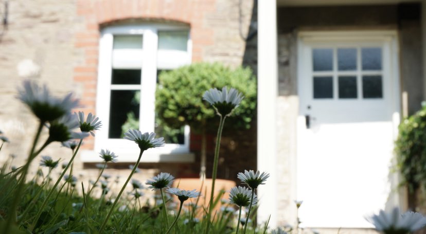 lovewalnuttree tweet media