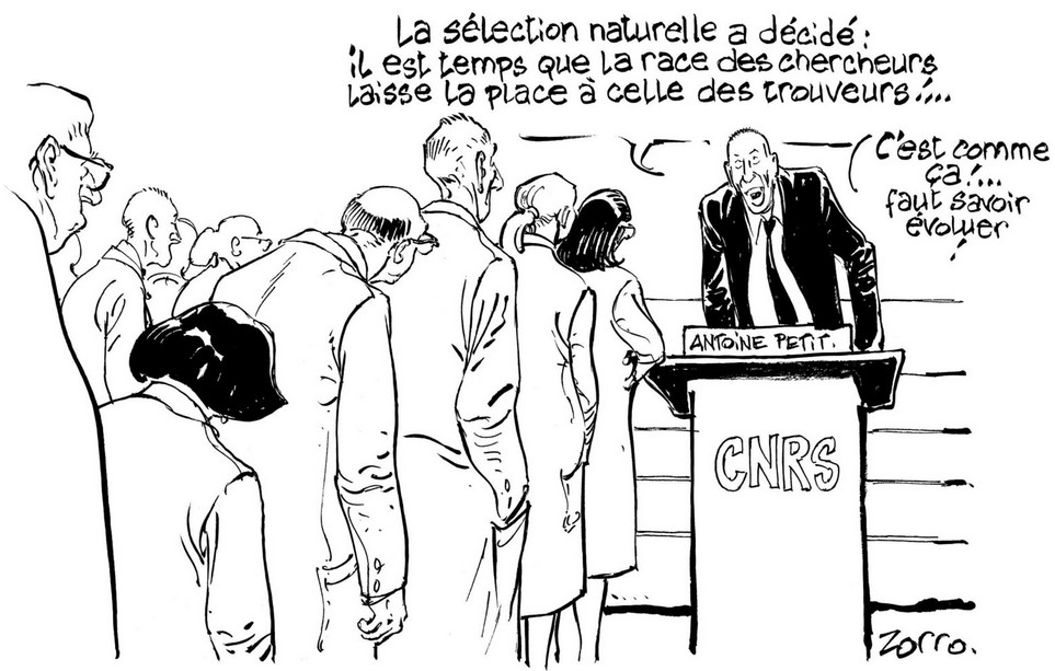 Comité de mobilisation UT2J tweet media