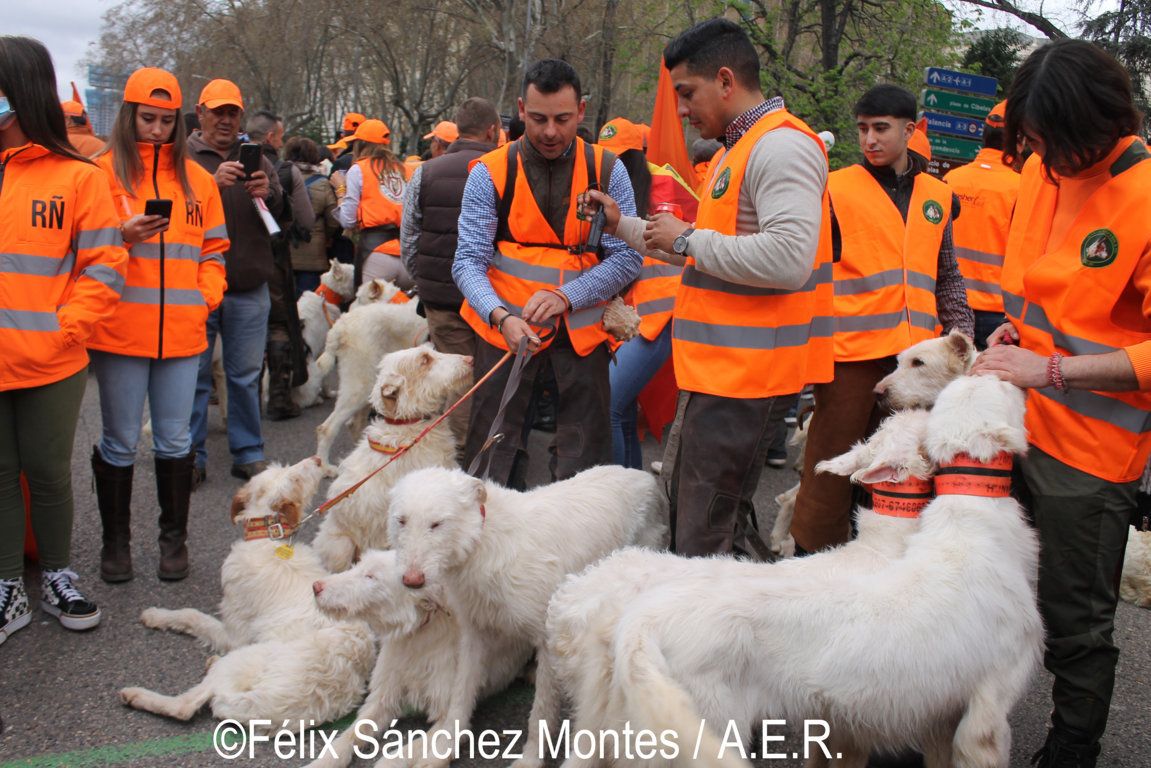 La firmeza de la AER ante la propuesta de reforma del delito de maltrato animal aprobada por el Consejo de Ministros se ha vuelto a materializar con la presentación de alegaciones en contra ...

bit.ly/37FVrI5