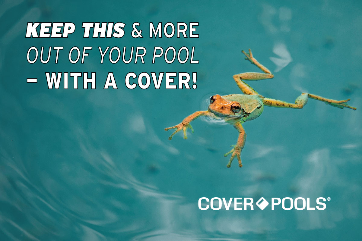 Keep frogs, animals &amp; bugs out of your pool! fal.cn/3o3K1. Prevent unwanted pests from entering the pool while reducing operational costs and wear-and-tear on pool filtration systems. Cut down on #PoolMaintenance by simply keeping the pool covered! #coverpools