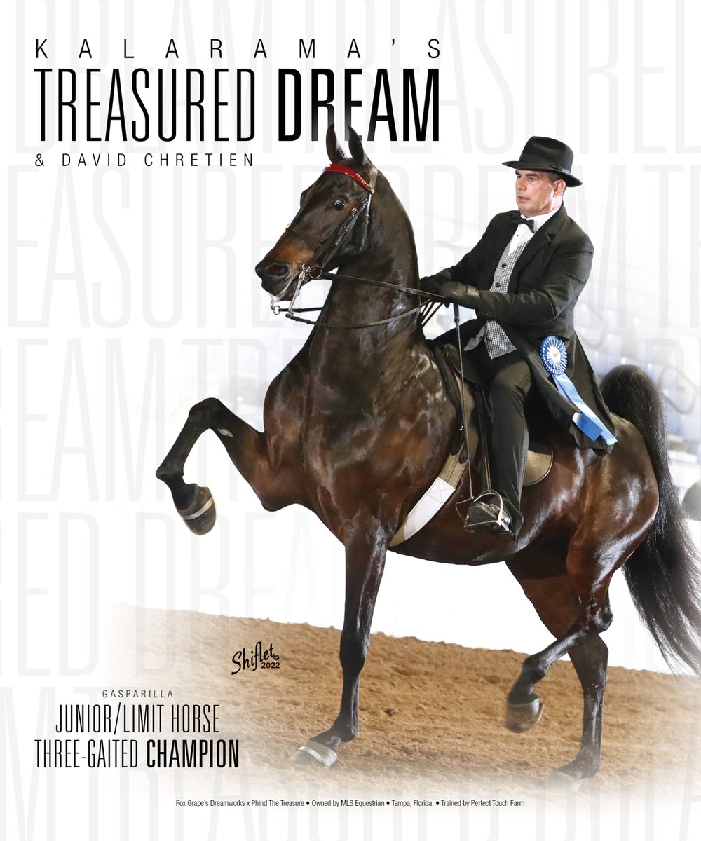 TNH1865's tweet photo. Kalarama’s Treasured Dream & David Chretien: Gasparilla Charity Junior/Limit Horse 3-Gaited Champion
#nationalhorseman #gasparillacharity @chretien.david #mlsequestrian #perfecttouchfarm #3gaited #saddlebred https://t.co/ShqJH9ZO80
