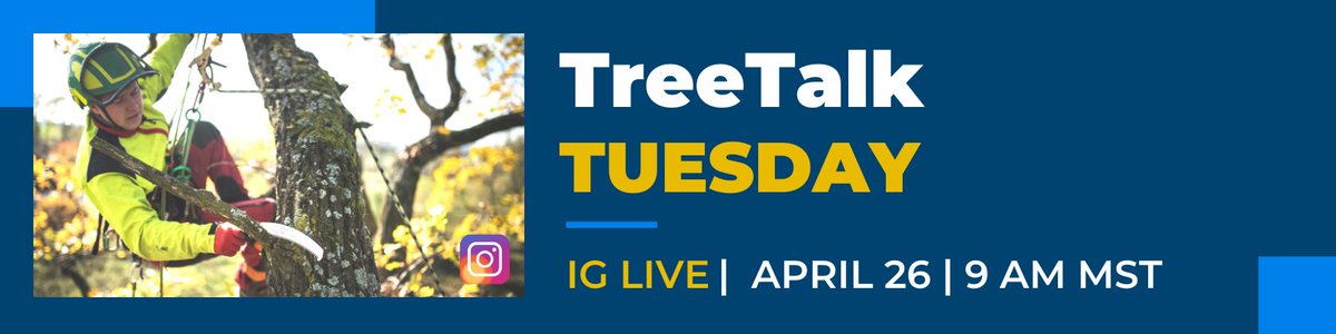 PlanItGeo2012's tweet photo. Join us LIVE 🎤 on Instagram TUESDAY AT 9AM MST for our first Tree Talk Tuesday. Abel and Alec will be talking all things TreePlotter JOBS and answering your questions.

Follow us on IG 📣 https://t.co/At51ypVl9f
#treesoftware #estimatingsoftware #treeofficer #arborist #urban ... https://t.co/3qHCOLlk2p