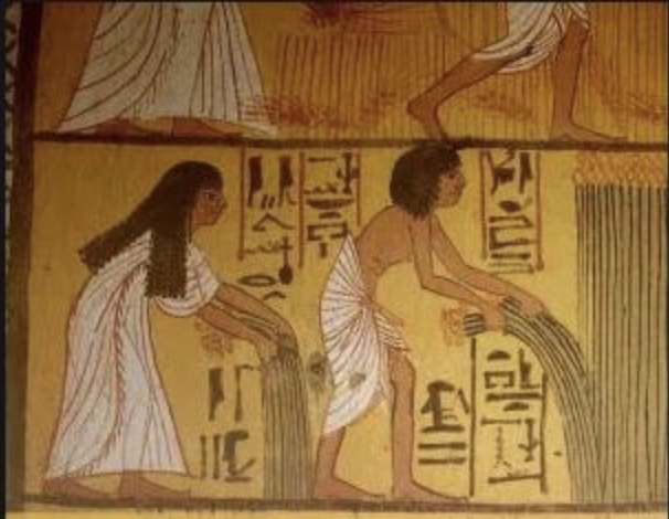 HonestACVenice's tweet photo. Did you know— Egyptians invented the first window air conditioning units. They would hang wet mats in their windows so the breeze would blow through and send cool air into their dwellings. https://t.co/JwZEDKuxHW