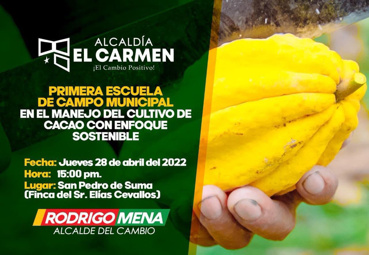 RodrigoMenaR's tweet photo. ESCUELAS DE CAMPO!! 
Los agricultores de El Carmen se capacitan con las Escuelas de Campo Municipal, en el Manejo del Cultivo de Cacao con Enfoque Sostenible y en el Manejo Sostenible del Bambú. 
#AlcaldíaDelCambioPositivo https://t.co/pyAKli7KTp