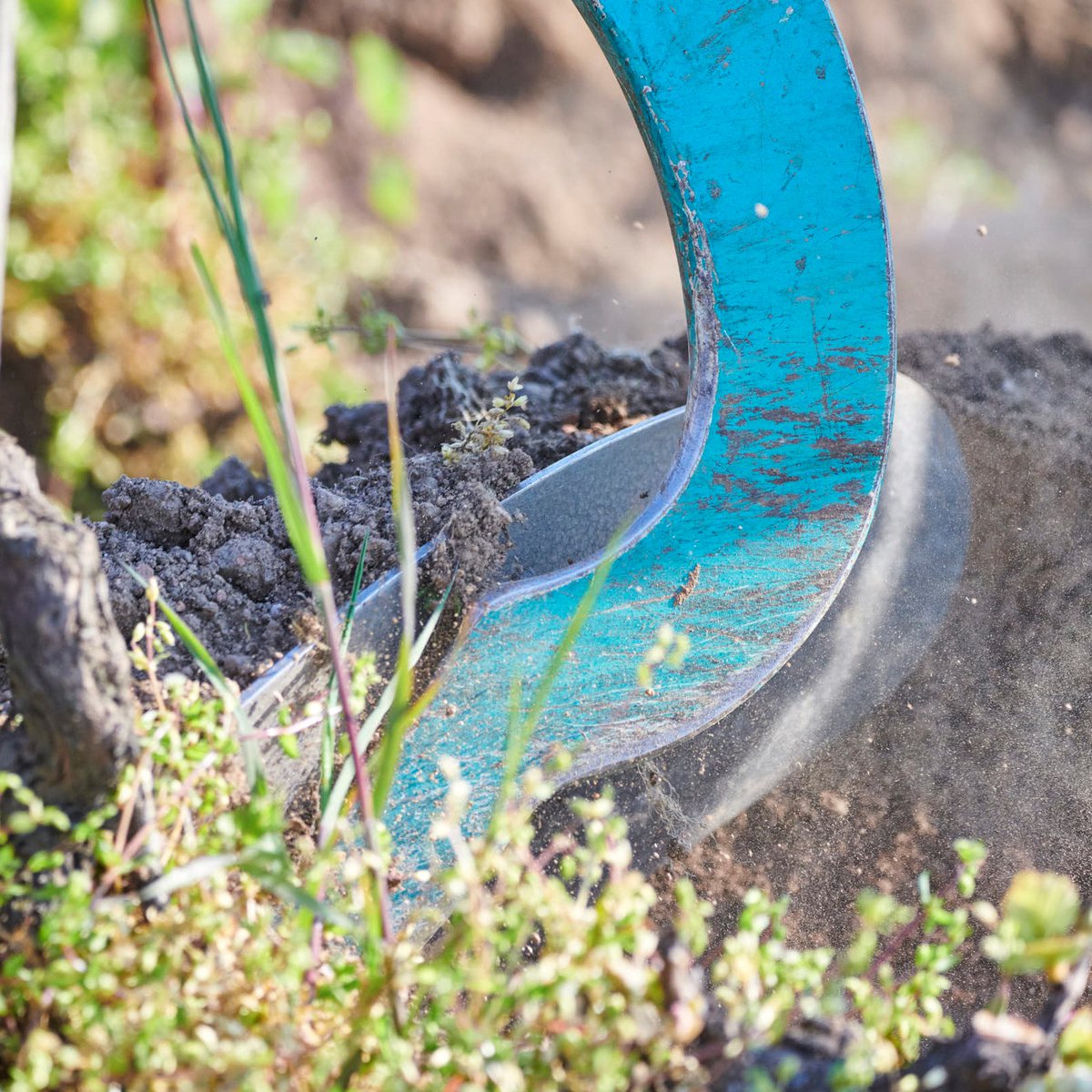 Vins du Beaujolais tweet media
