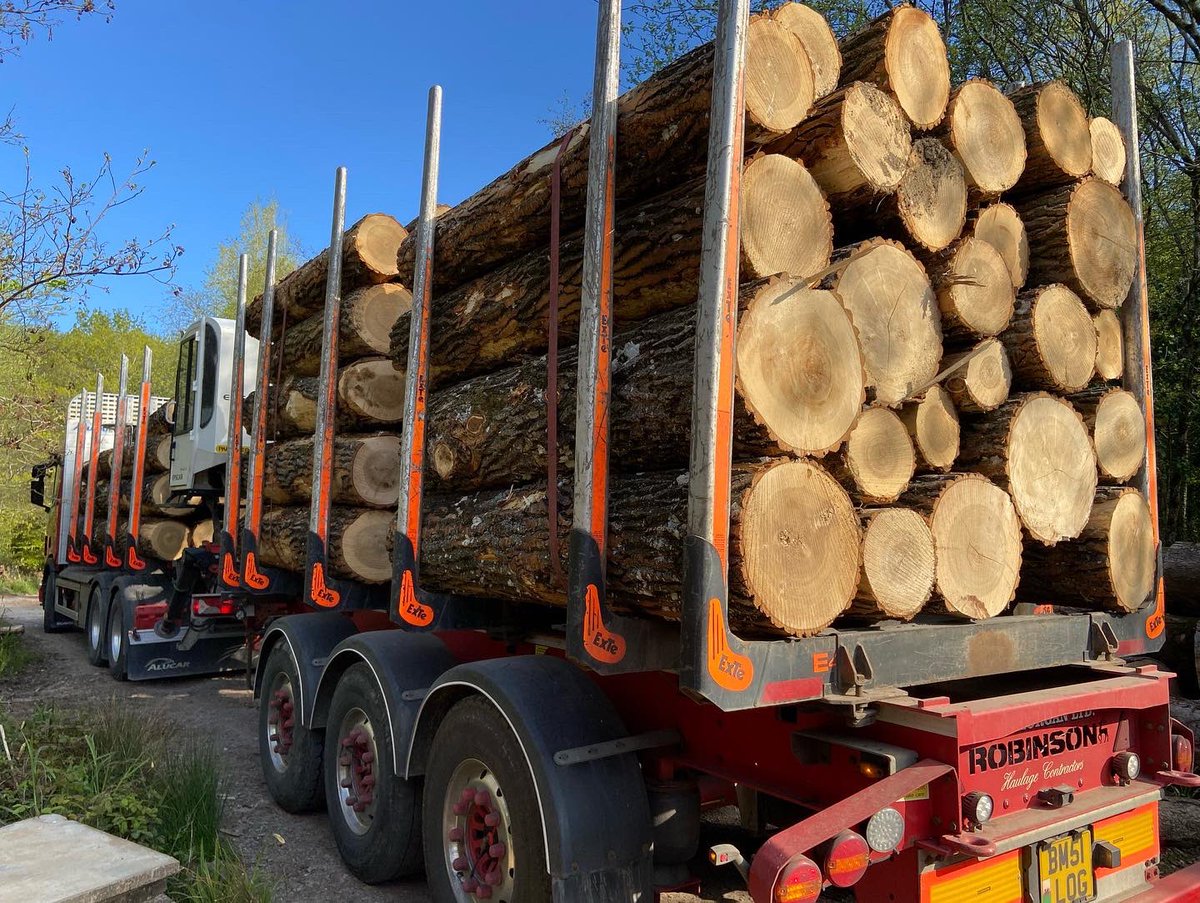 WenTimberCentre's tweet image. A good start to the week. This lovely lot of Poplar logs arrived from a forest management project near Llandrindod Wells. Poplar dries quickly so it shouldn’t be too long before they are in the Showroom 👍#goodstarttotheweek #localtimber #sustainablelogging #forestmanagement